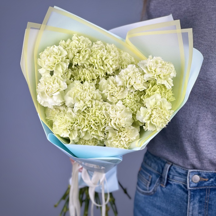 Букет из 25 фисташковых гвоздик