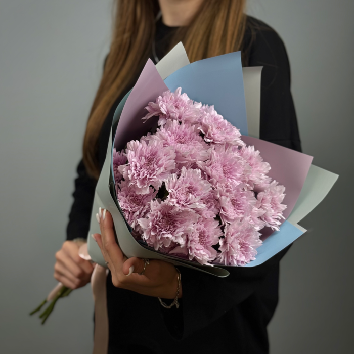 Комбо Снова в школу