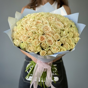 Букет из 151 кремовой розы 50 см