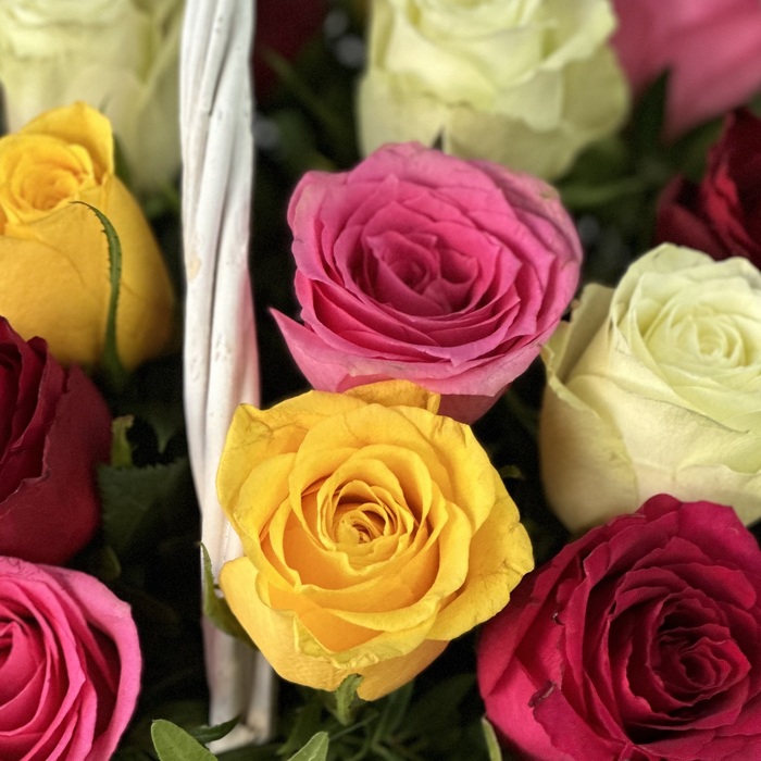 Корзина из 25 ярких роз