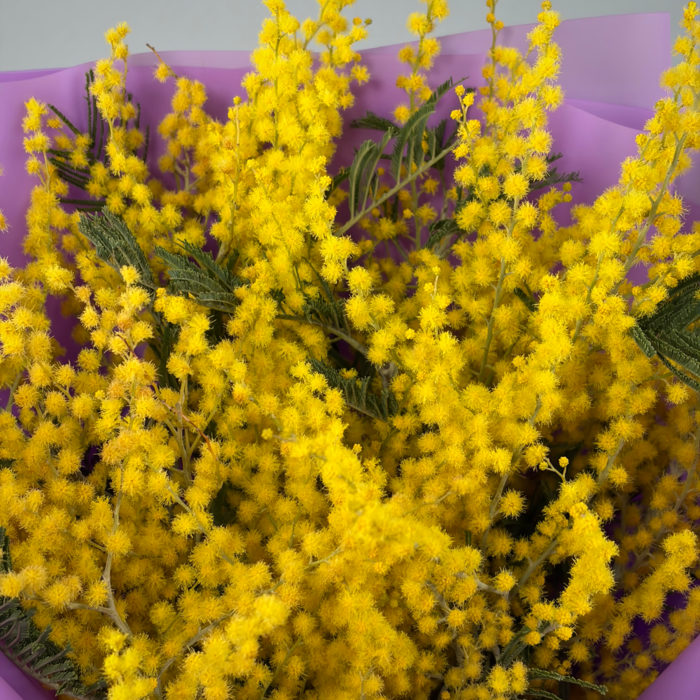 Букет из мимозы