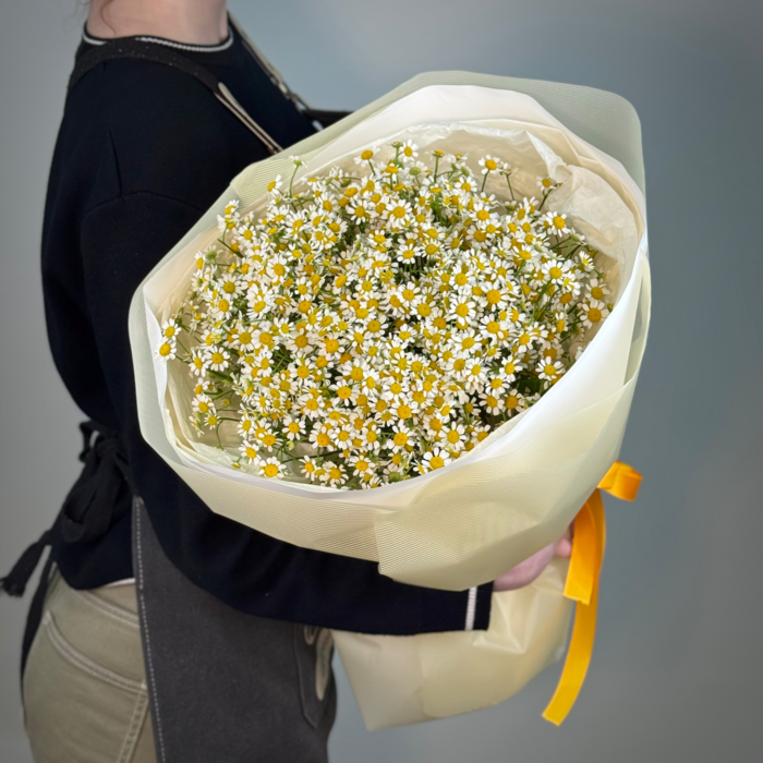 Букет из 19 ромашки