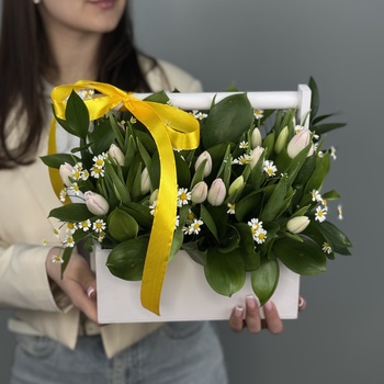 Цветы в ящике Дыхание весны